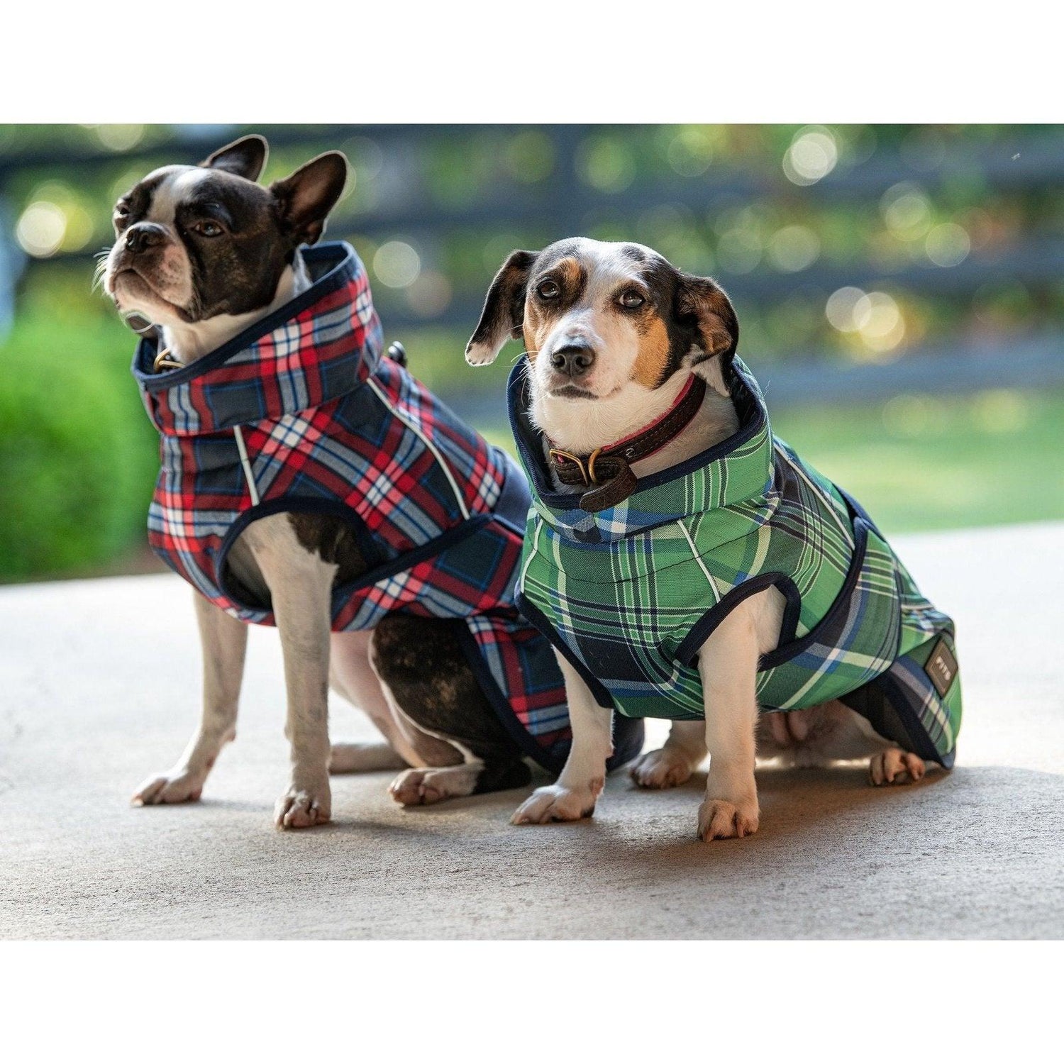 Pet Apparel