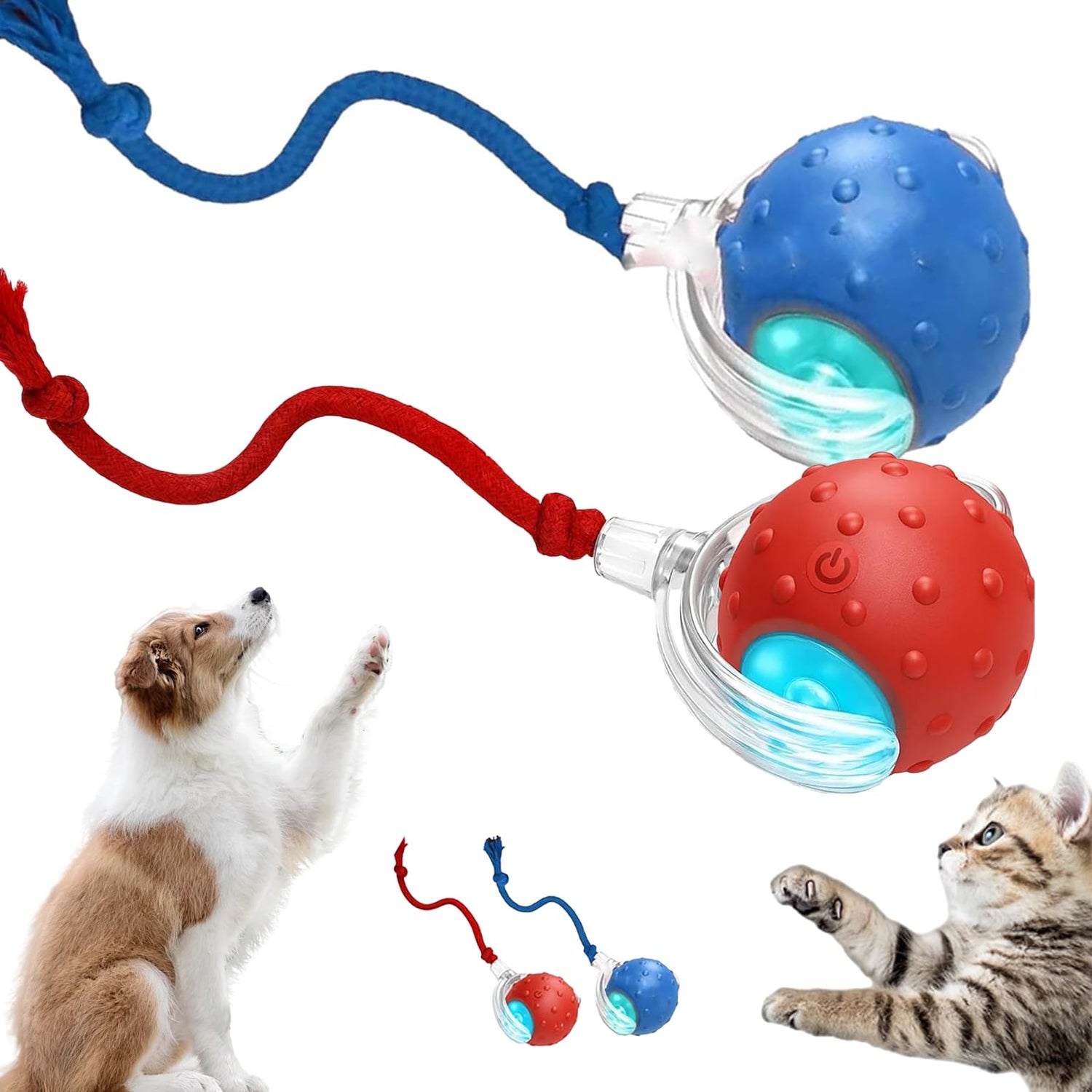 Interactive Pet Toys