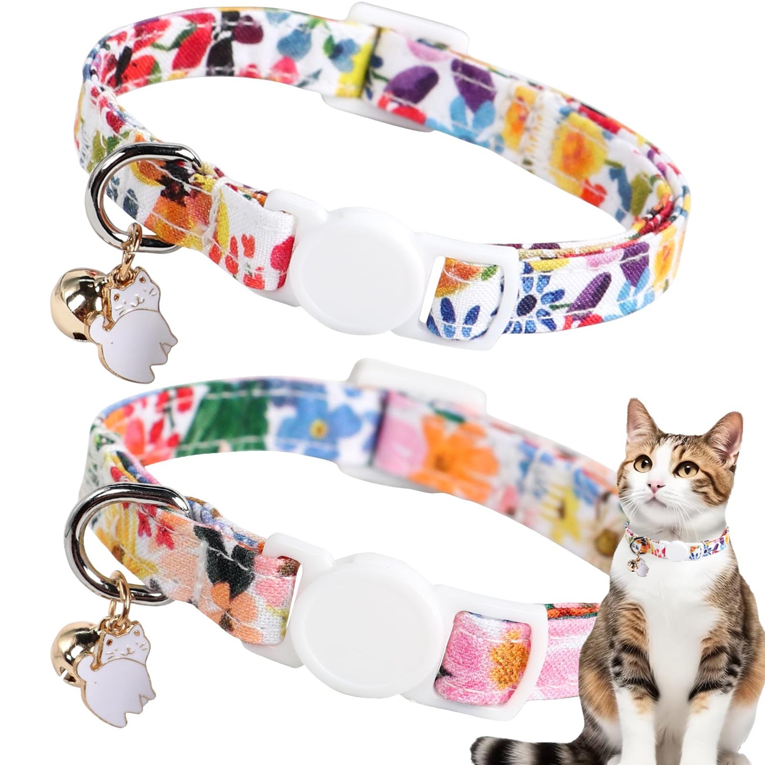 Cat Collars