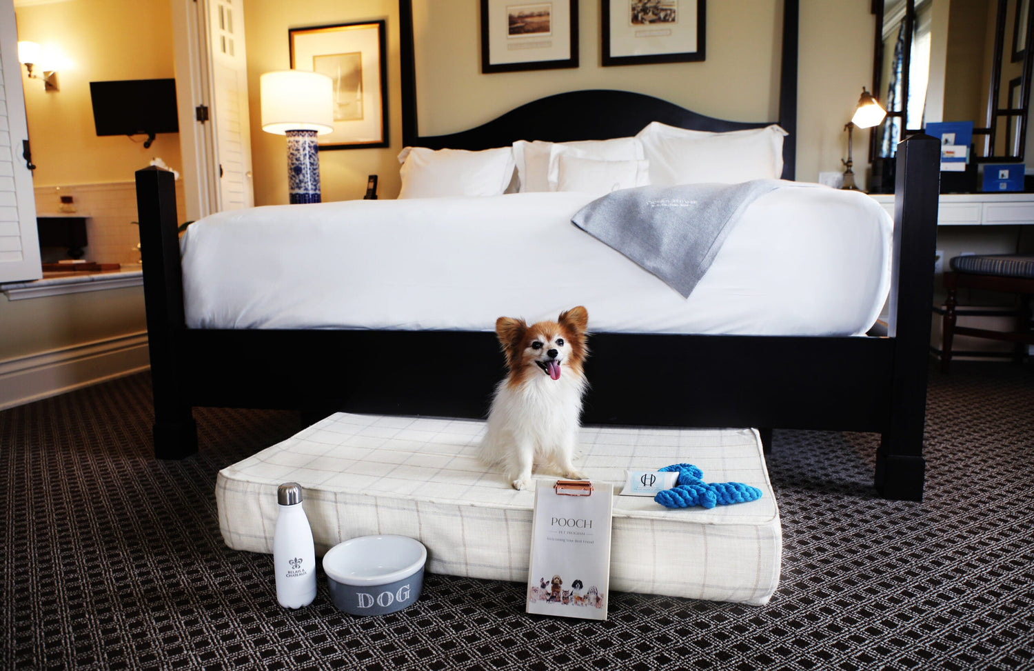 MoTaiLz & HoTaiLz  Pet Supplies